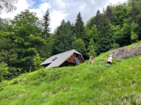 Architect`s Cottage - serenity and greenery in the highlands Soča